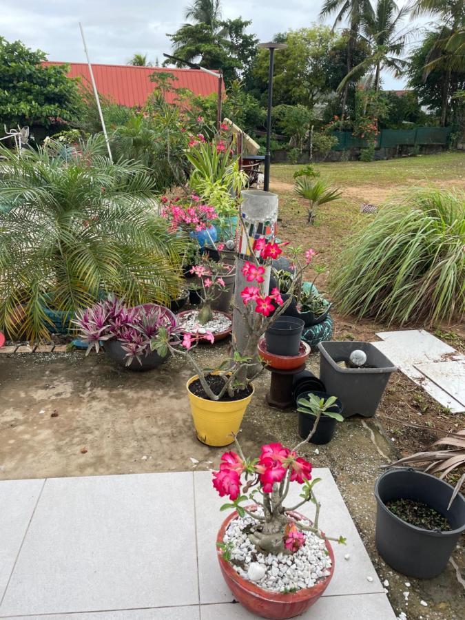 Tampok Lodge Cayenne Dış mekan fotoğraf